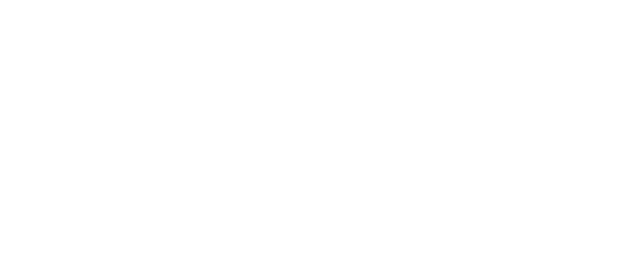 Wholeness Therapy Group