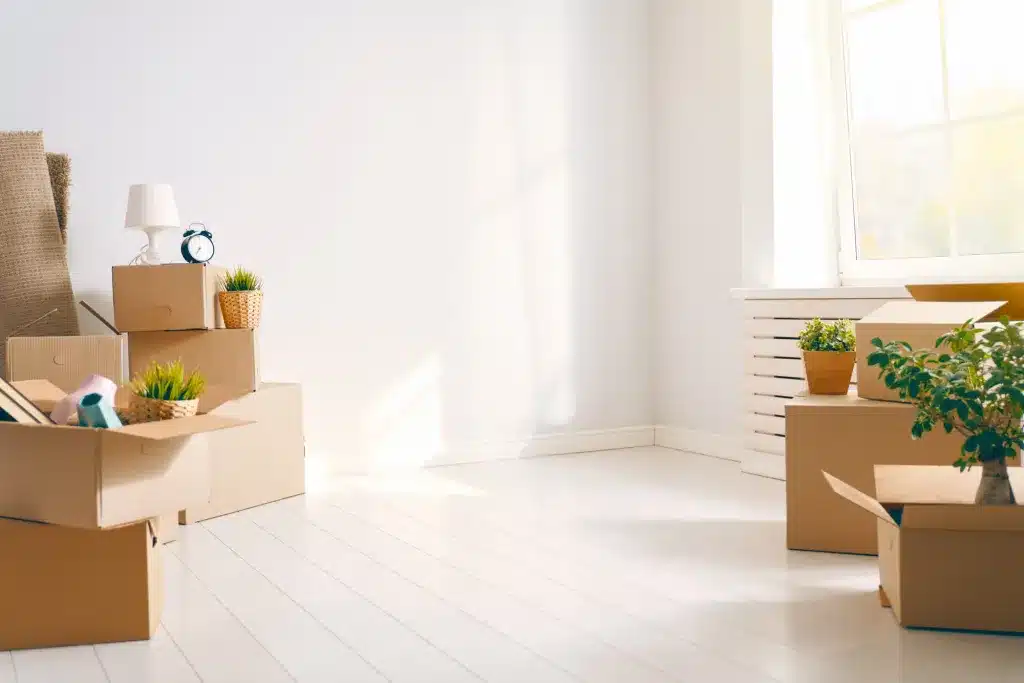 Moving boxes and plants in a bright, empty room. Life transitions counseling near Tigard, Oregon.