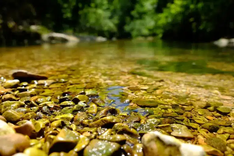 Clear water running over pebbles in a shallow river. Counseling for children, teens, adults and families near Tigard, Oregon.