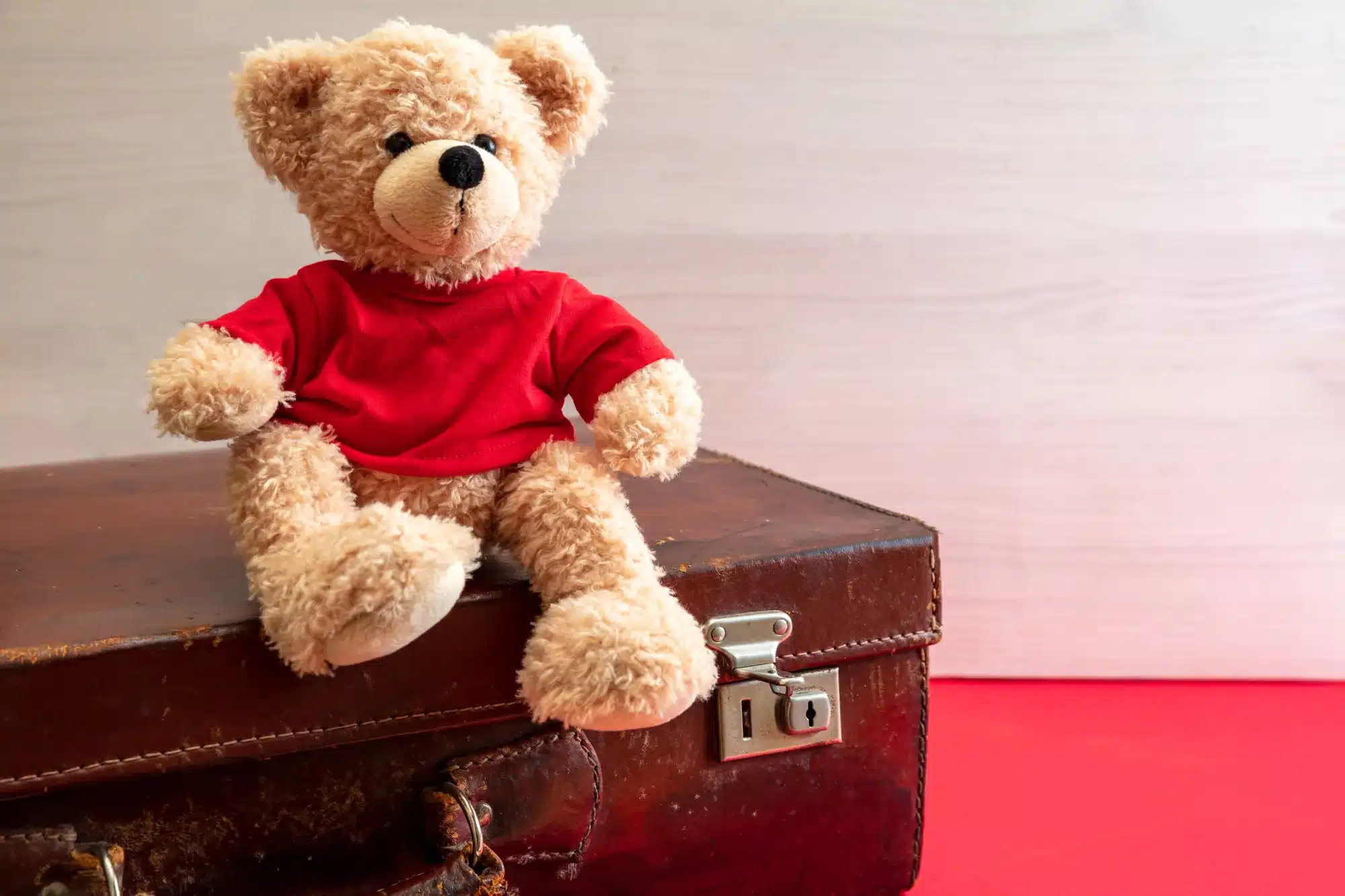 A teddy bear sitting on an old suitcase. Helping a child through a move or divorce, from a counselor near Tigard, Oregon.